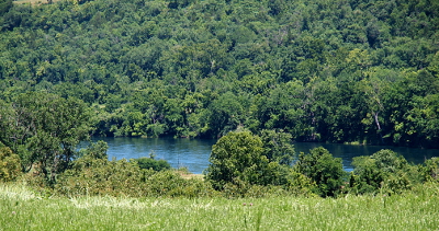 [A thin section of sunlit blue sits amidst the thickly treed area. A grass knoll is in the foreground.]